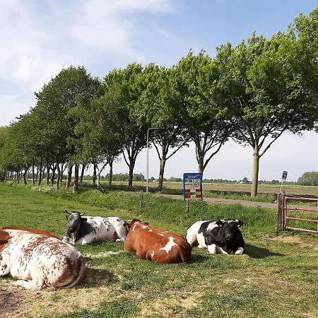 Mahil-Laya Bed & Breakfast Meppel Bagian luar foto