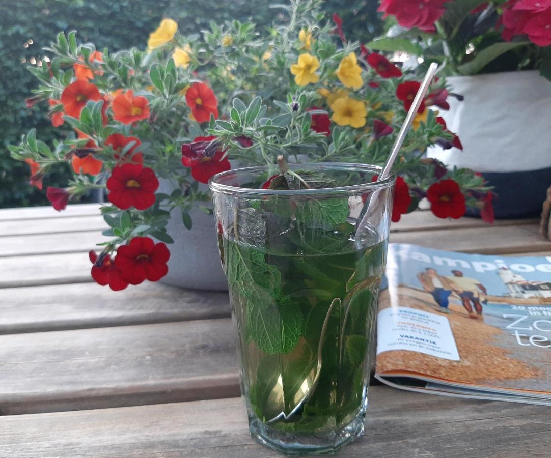 Mahil-Laya Bed & Breakfast Meppel Bagian luar foto